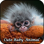 Cover Image of Download Cute Baby Animal Wallpaper  APK