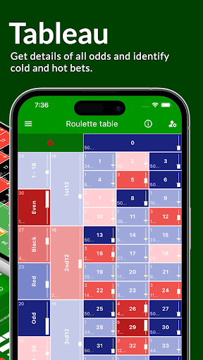 Roulette Dashboard: Casino App Screen 3