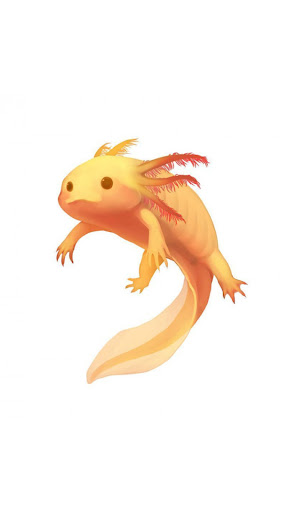Axolotl Wallpaper