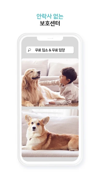 도그마루 보호소 - 강아지입양 고양이입양 유기동물보호소_3