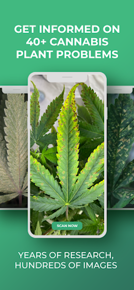 GrowDoc: Cannabis Plant Doctor Pictures 9