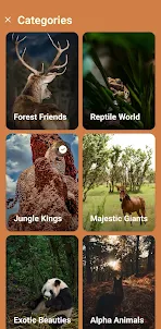 Animal Wallpaper App