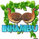 Pássaros Inhambu icon