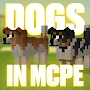 Mod dogs for Minecraft PE