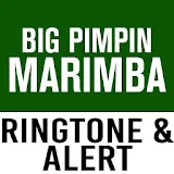Big Pimpin' Marimba Ringtone icon
