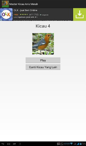 Master Kicau Anis Merah Screen 2