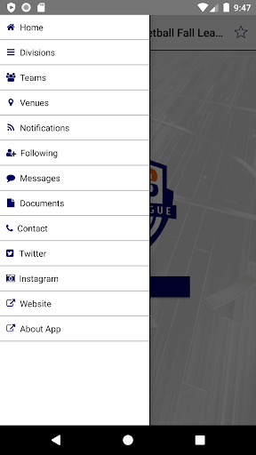 Metro Indy Basketball Screen 2