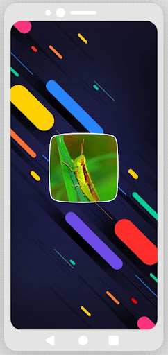 Android application Cricket Sounds screenshort