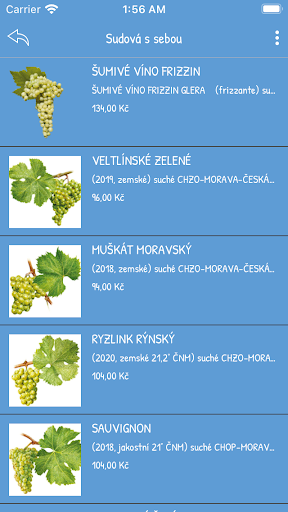 Správná adresa Screen 2