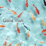 Cover Image of Descargar Gold Fish Theme  APK