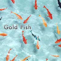 Gold Fish Theme