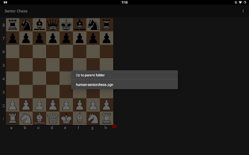 Senior Chess Screenshot