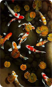 Japanese Koi Fish Wallpaper