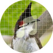Top 15 Lifestyle Apps Like Red-whiskered bulbul ~ Sboard.pro - Best Alternatives