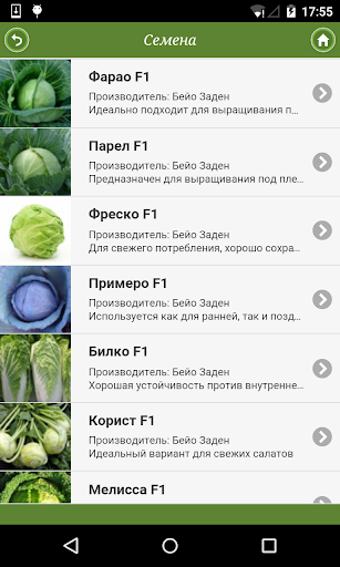 Cabbage from A to Z Screen 3