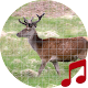 Deer (Animal) call sounds ~ Sboard.pro Download on Windows