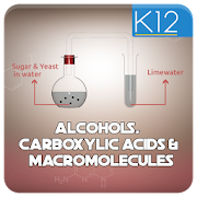 Top 10 Education Apps Like Alcohols & Carboxylic Acids - Best Alternatives