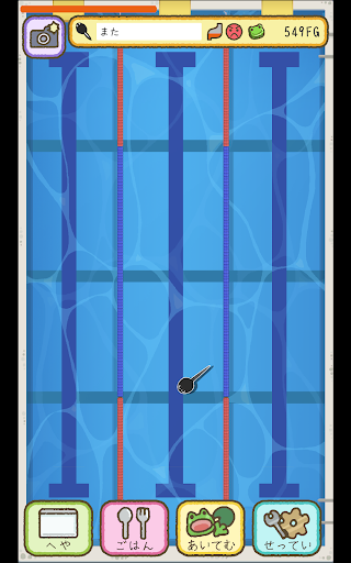 frog every day Screen 3