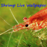 Shrimp Live Wallpaper icon