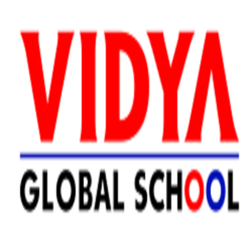 Vidya Global School logo