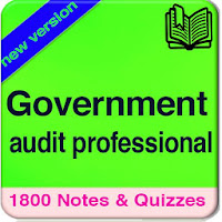 Government audit professional