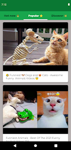 Hot animals funny videos sale