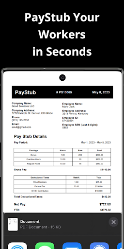 PayStub: PaySlip PDF Generator 1