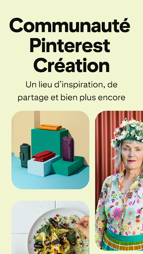 Aperçu de l'application