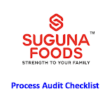 Process Audit Checklist icon