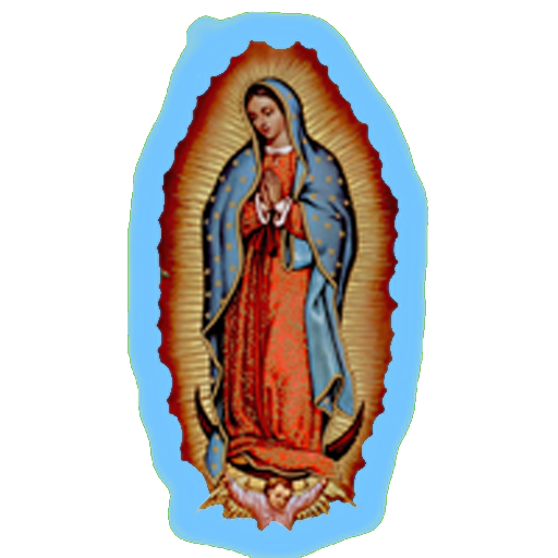 virgen de Guadalupe Изтегляне на Windows