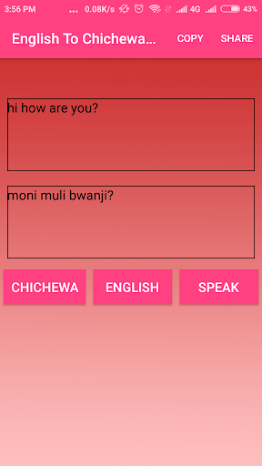 English To Chichewa Converter Screen 3