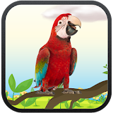 Real Talking Parrot icon