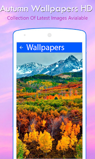 Autumn Wallpapers HD Screen 2