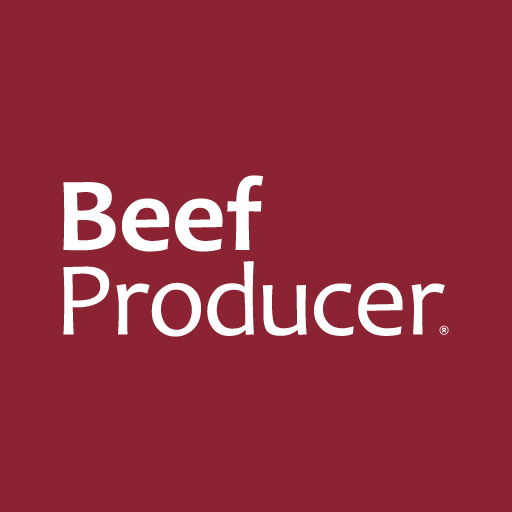 Beef Producer logo