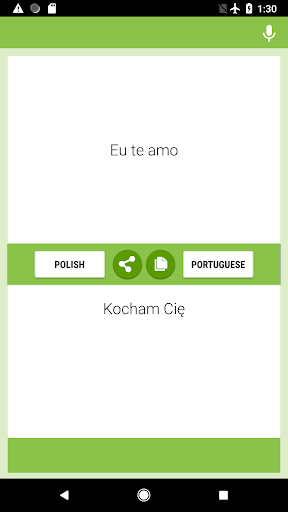 Polish-Portuguese Translator Screen 2