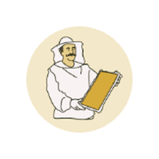 Revise! logo