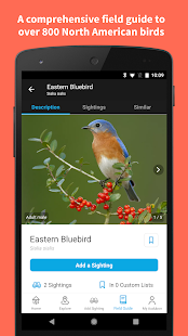 Audubon Bird Guide Screenshot