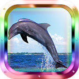 Dolphin Diver icon