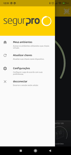 Segurpro Access Screen 2