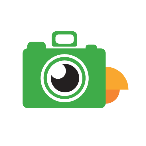 Pic Parrot logo