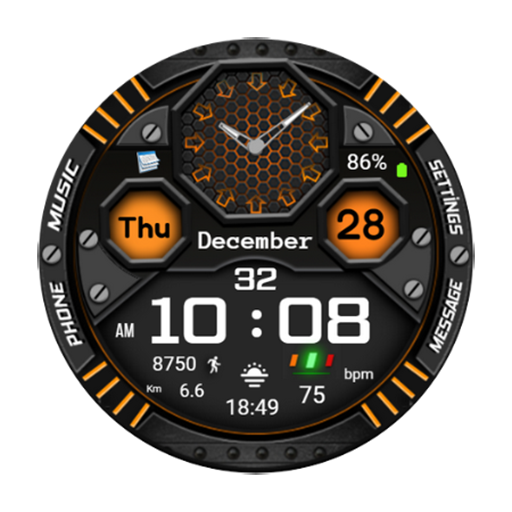 FSW249 Watchface logo