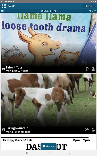 Screenshot of Chincoteague Island VA