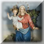 Cover Image of Download Santuario Madonna del Bosco  APK