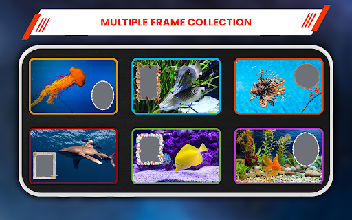 Aquarium Photo Frame Screen 2