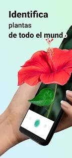 PictureThis Προσδιορισμός στιγμιότυπου εγκατάστασης