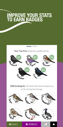 Bird Bingo - Bird Watching UK Screen 3