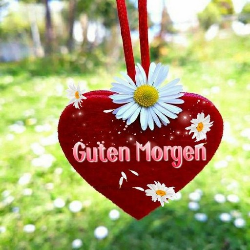GutenMorgen GuteNacht GIF 2023 Download on Windows