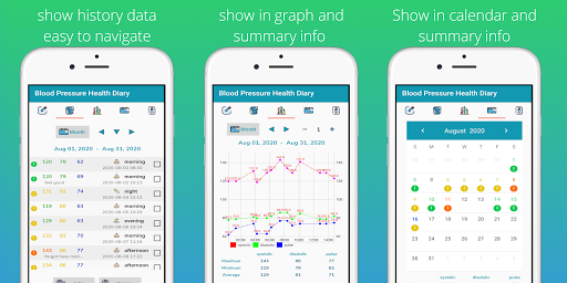 Blood Pressure Health Diary Screen 2