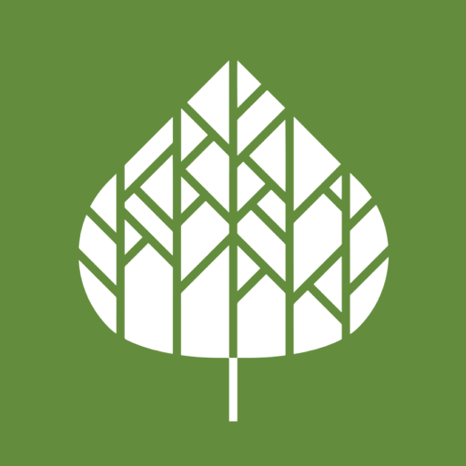 Aspen 311 logo