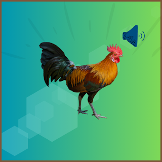 Rooster Sounds